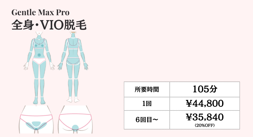 女性全身VIO