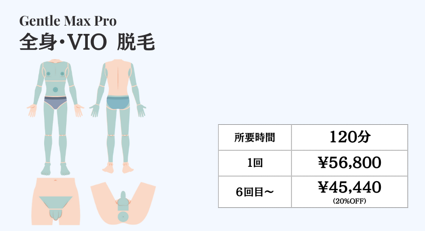 男性全身VIO