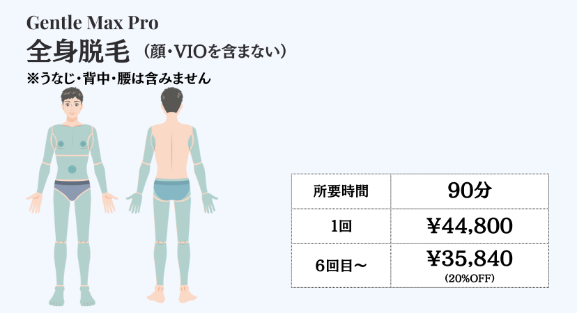 男性全身脱毛