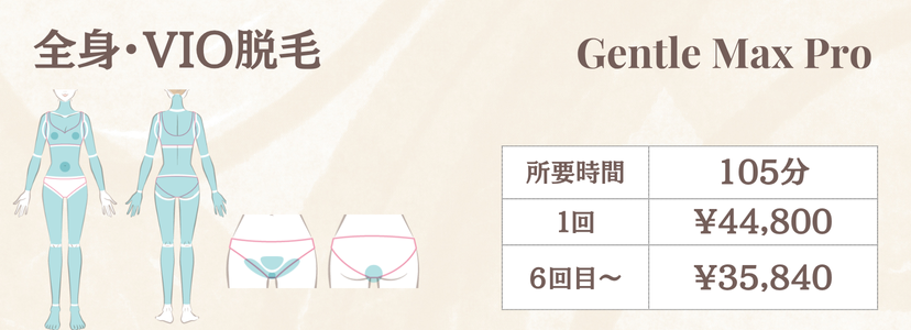 女性全身VIO