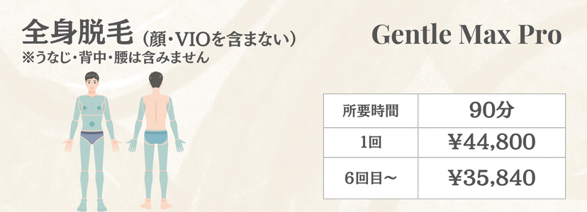 男性全身脱毛