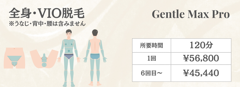 男性全身VIO