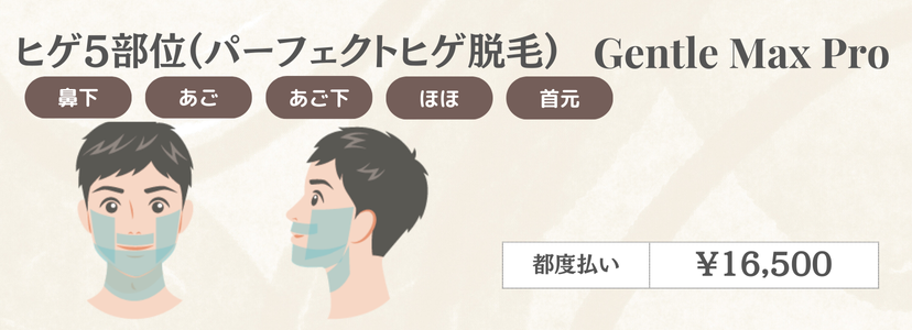 男性ヒゲ5部位