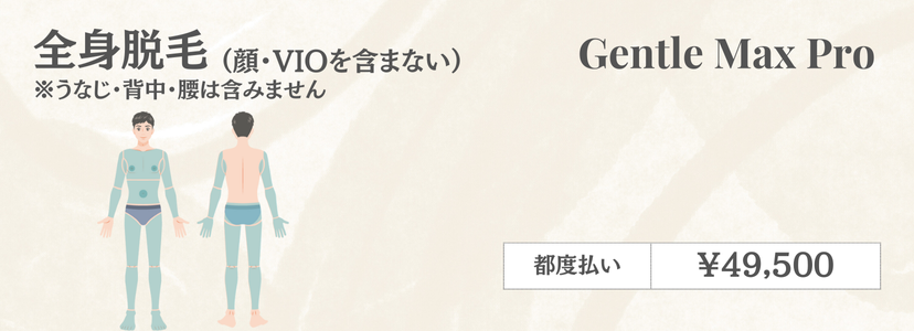 男性全身脱毛