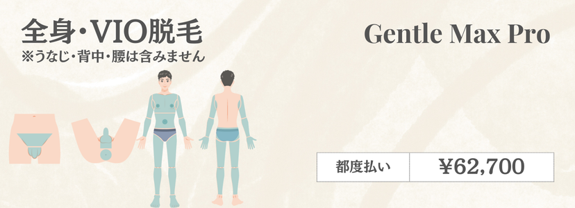 男性全身VIO