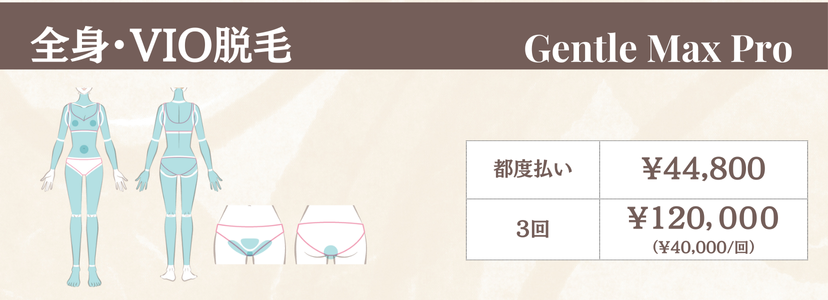 女性全身VIO