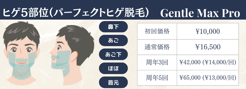 男性ヒゲ5部位