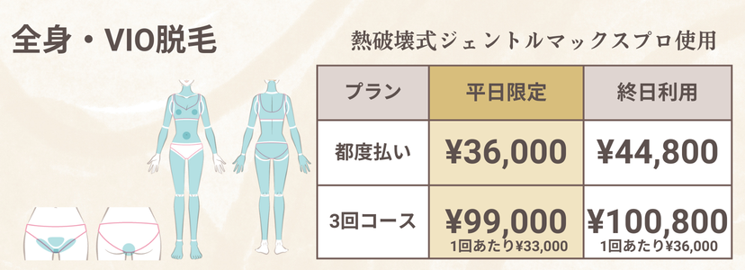 女性全身VIO脱毛