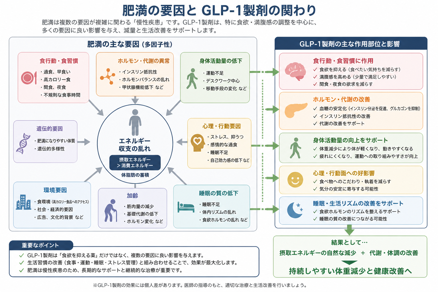 肥満の要因とGLP-1製剤の関わりを示す図